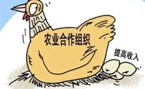 鄭州注冊(cè)農(nóng)民專業(yè)合作社屬于什么企業(yè)類型